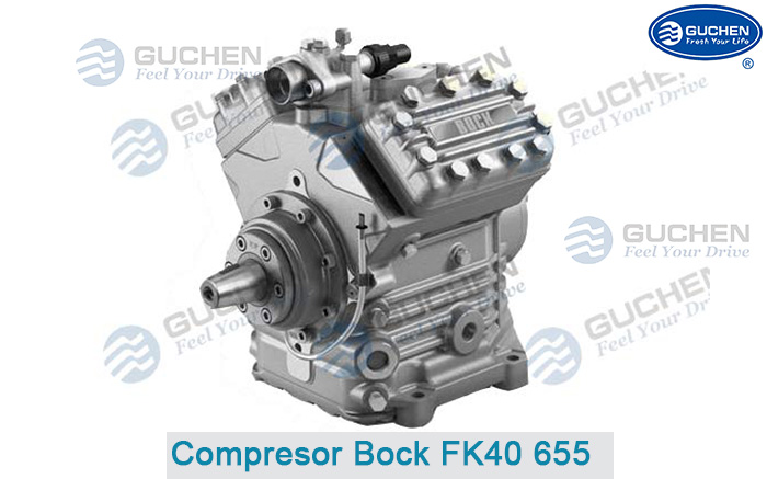 Compresor Bock FK40 655