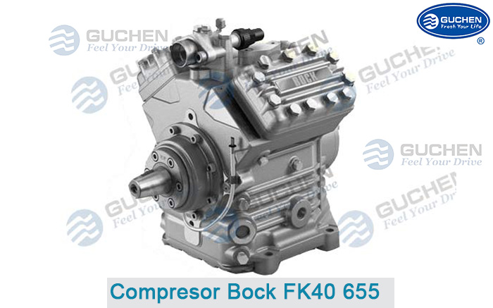 Compresor Bock FK40 655